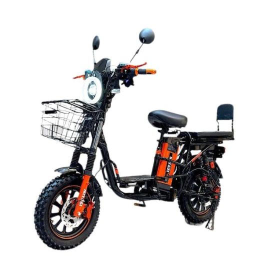 صورة دراجة كهربائي روسي جبلي 16 إنش